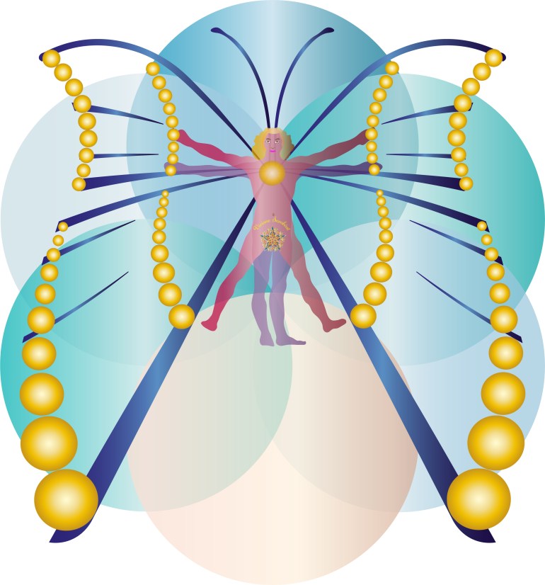 Crop Homme Papillon Chakra