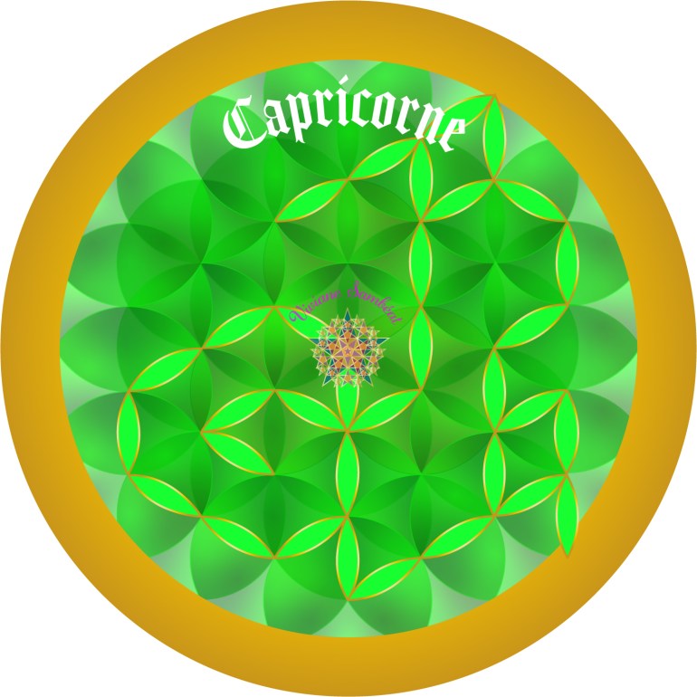 Signe Astro Fleur de vie Capricorne