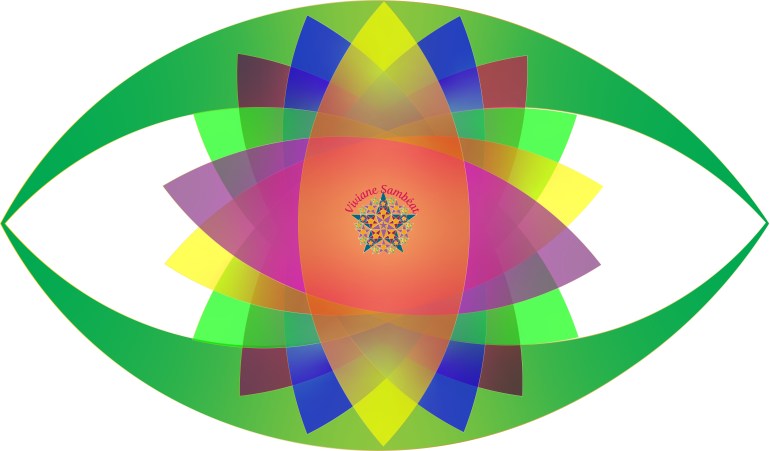 Crop Oeil Janvier 2020